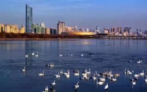 三門(mén)峽又一網(wǎng)紅景點(diǎn)，確定不來(lái)pick一下？
